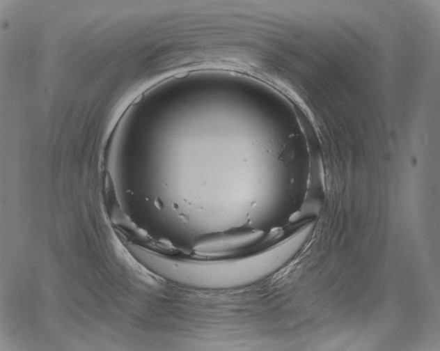 X0000065991532200603031142