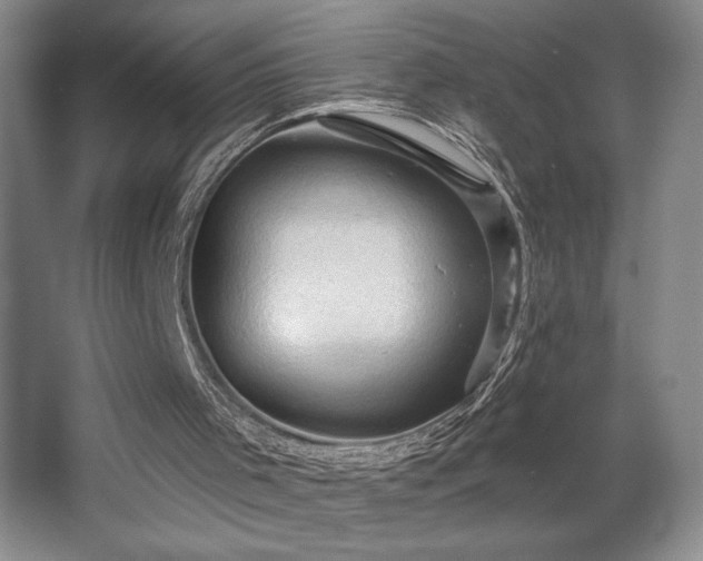 X0000065990001200603061309