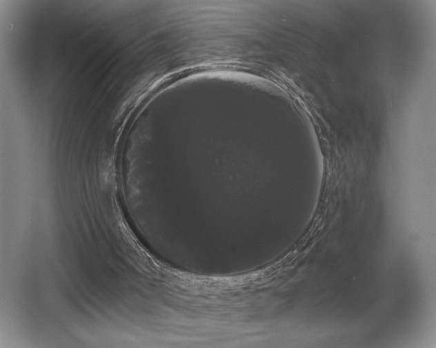 X0000065990002200603061309