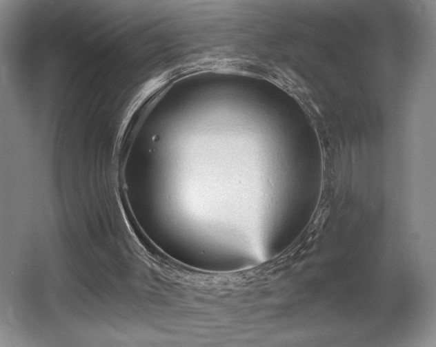 X0000065990003200603061309