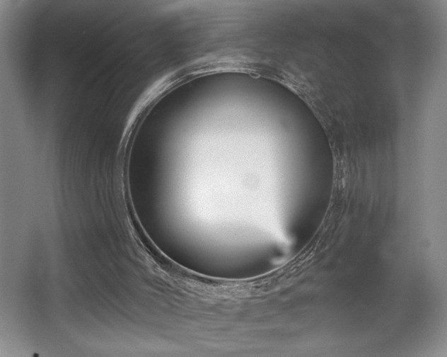 X0000065990004200603061309