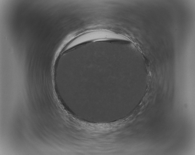 X0000065990006200603061309