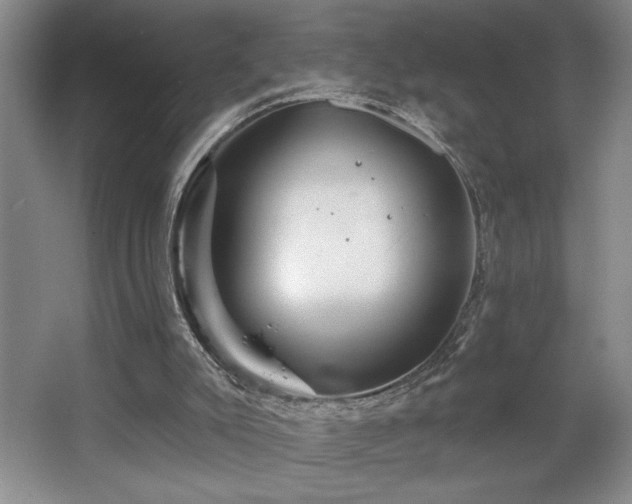 X0000065990007200603061309