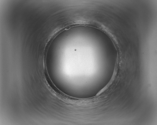 X0000065990011200603061309