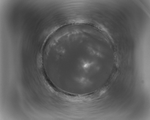 X0000065990012200603061309