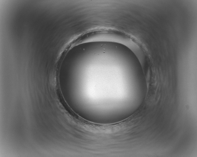 X0000065990015200603061309