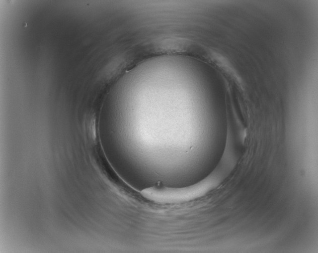X0000065990021200603061309