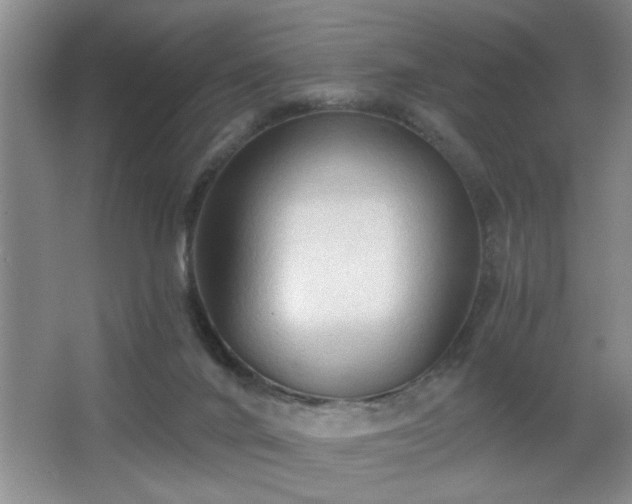 X0000065990024200603061309