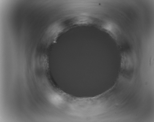 X0000065990029200603061309