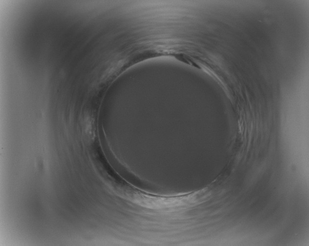 X0000065990031200603061309