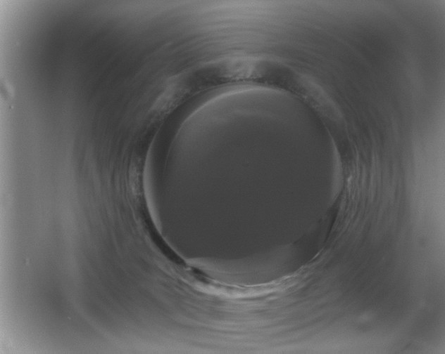 X0000065990035200603061309