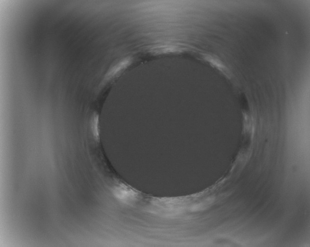 X0000065990041200603061309