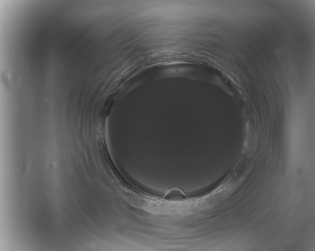 X0000065990048200603061309