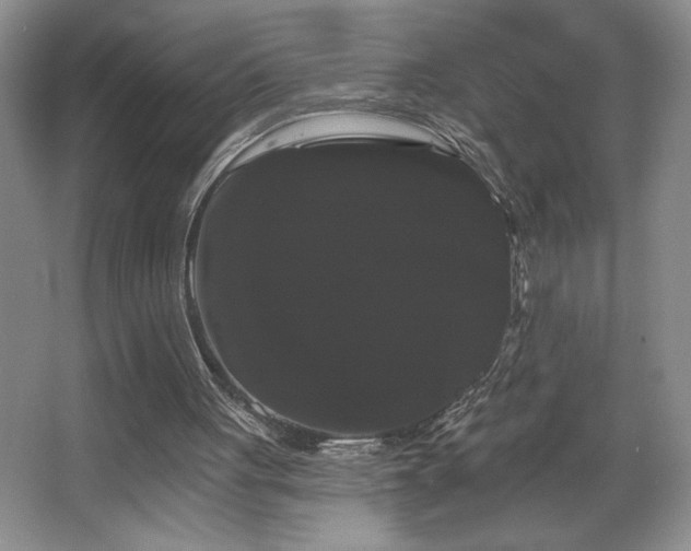 X0000065990051200603061308