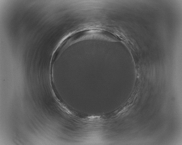 X0000065990052200603061308