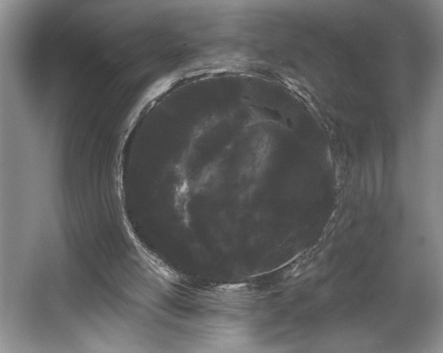 X0000065990054200603061308