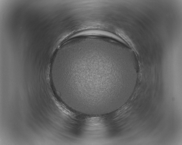 X0000065990058200603061308