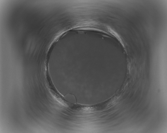 X0000065990059200603061308