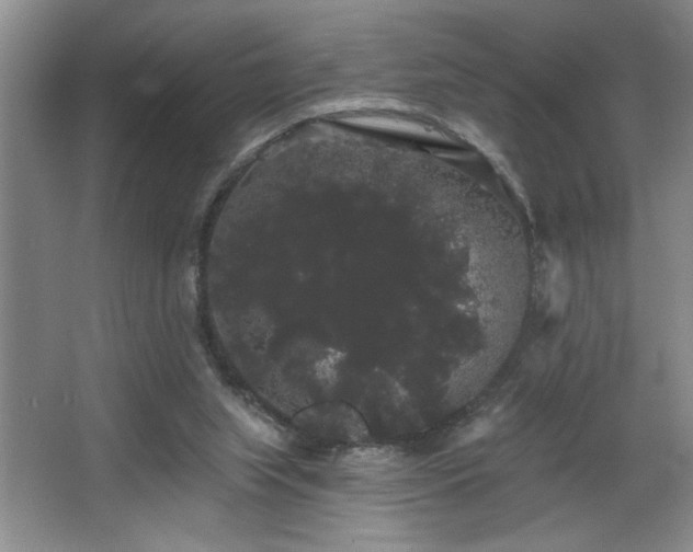 X0000065990063200603061308