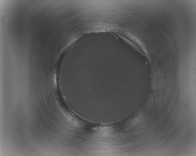 X0000065990067200603061308