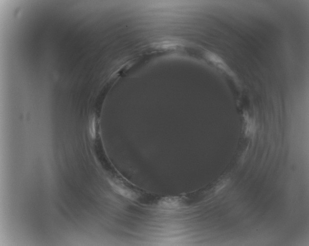 X0000065990076200603061308