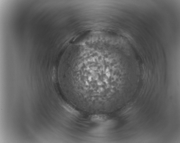 X0000065990077200603061308