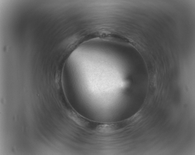 X0000065990082200603061308