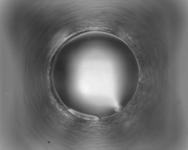 X0000065990098200603061308