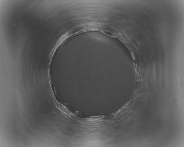 X0000065990099200603061308