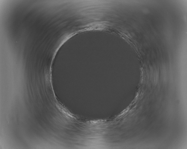 X0000065990100200603061308