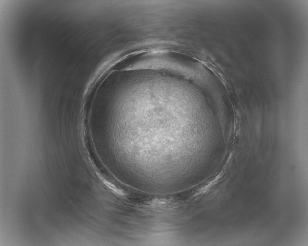X0000065990101200603061308