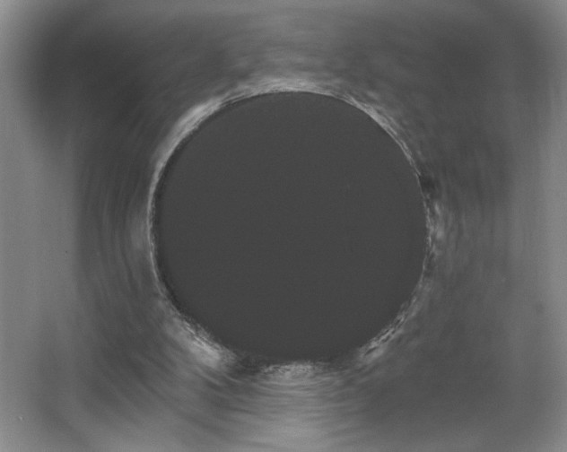 X0000065990104200603061308