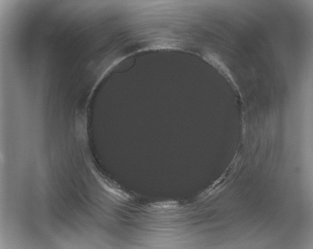 X0000065990108200603061308