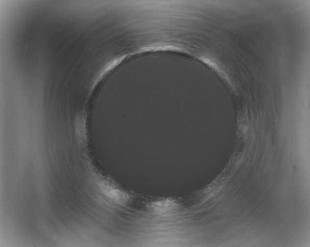 X0000065990112200603061308