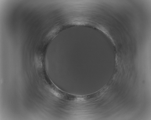 X0000065990114200603061307