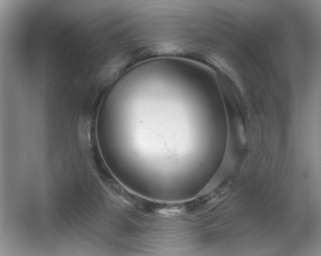X0000065990115200603061307