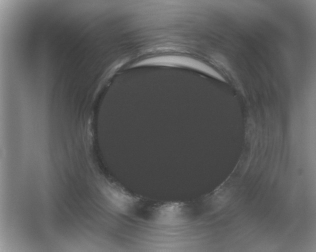 X0000065990116200603061307