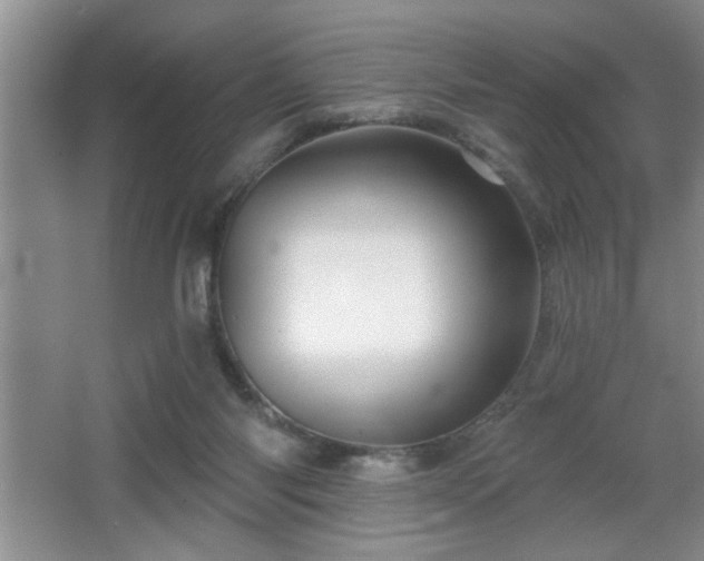 X0000065990118200603061307