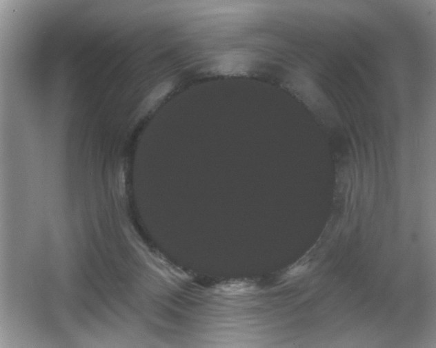 X0000065990120200603061307