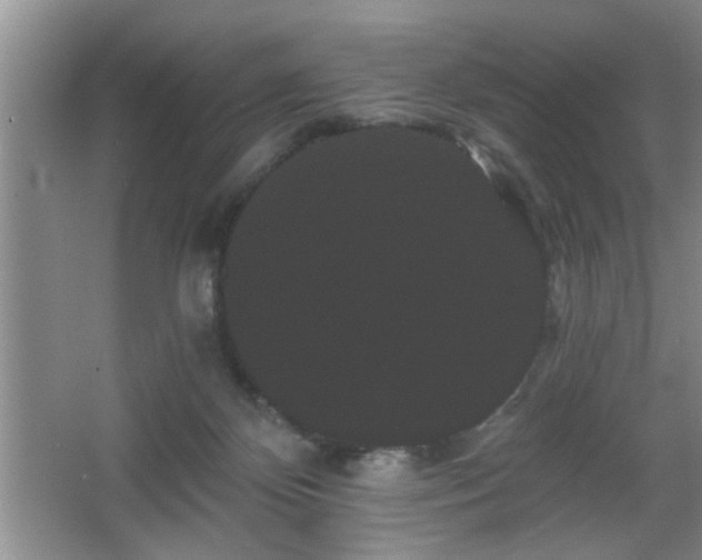 X0000065990124200603061307