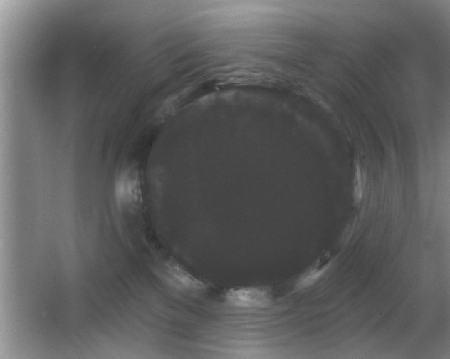 X0000065990137200603061307