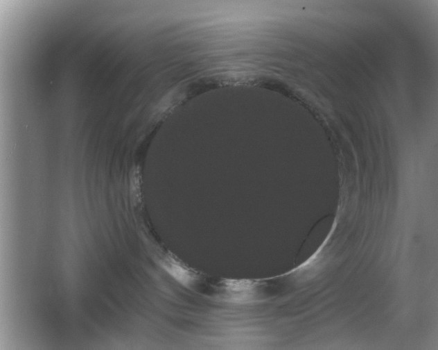 X0000065990144200603061307