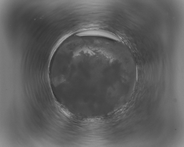 X0000065990147200603061306