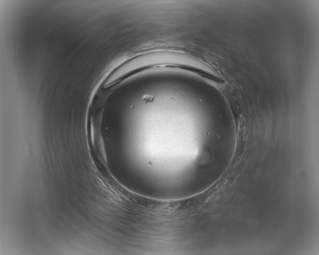 X0000065990148200603061306