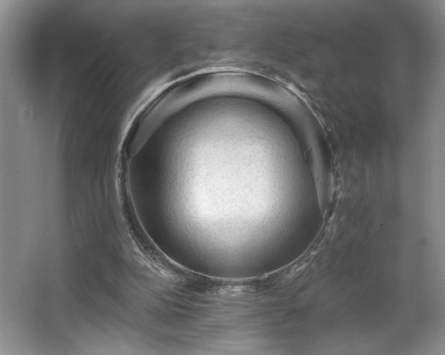 X0000065990152200603061306