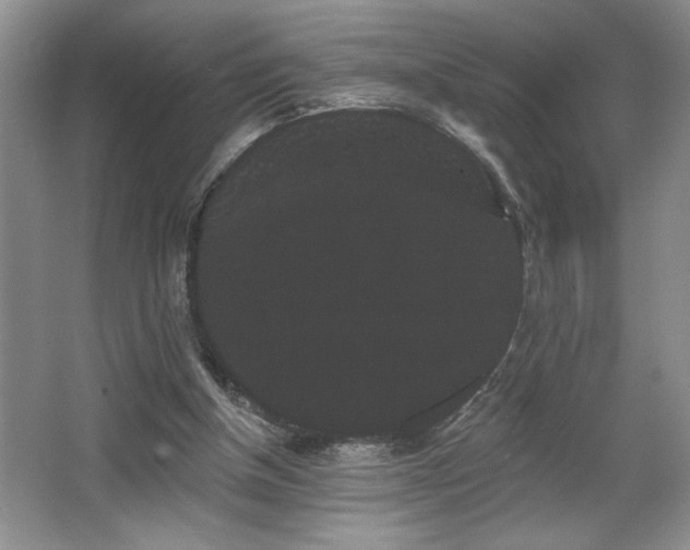X0000065990154200603061306