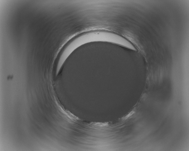 X0000065990156200603061306