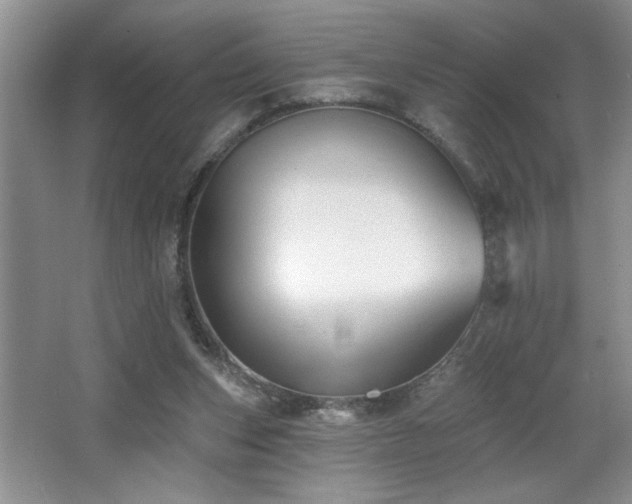 X0000065990159200603061306