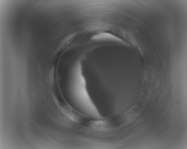 X0000065990163200603061306