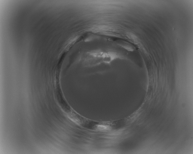 X0000065990167200603061307